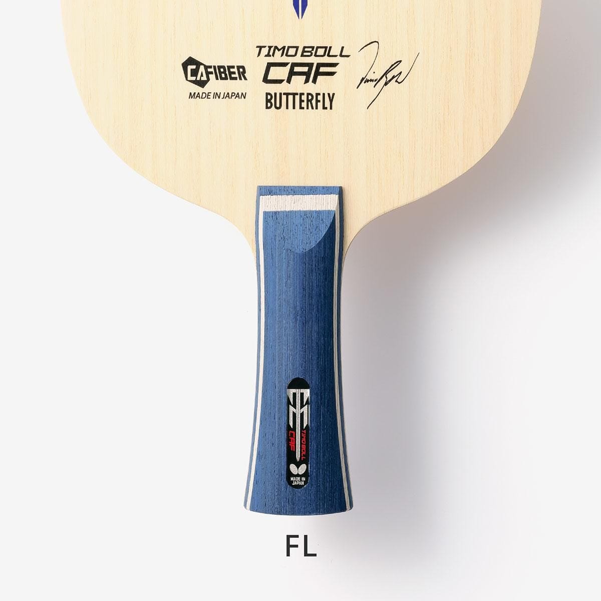 蝴蝶 TIMO BOLL CAF